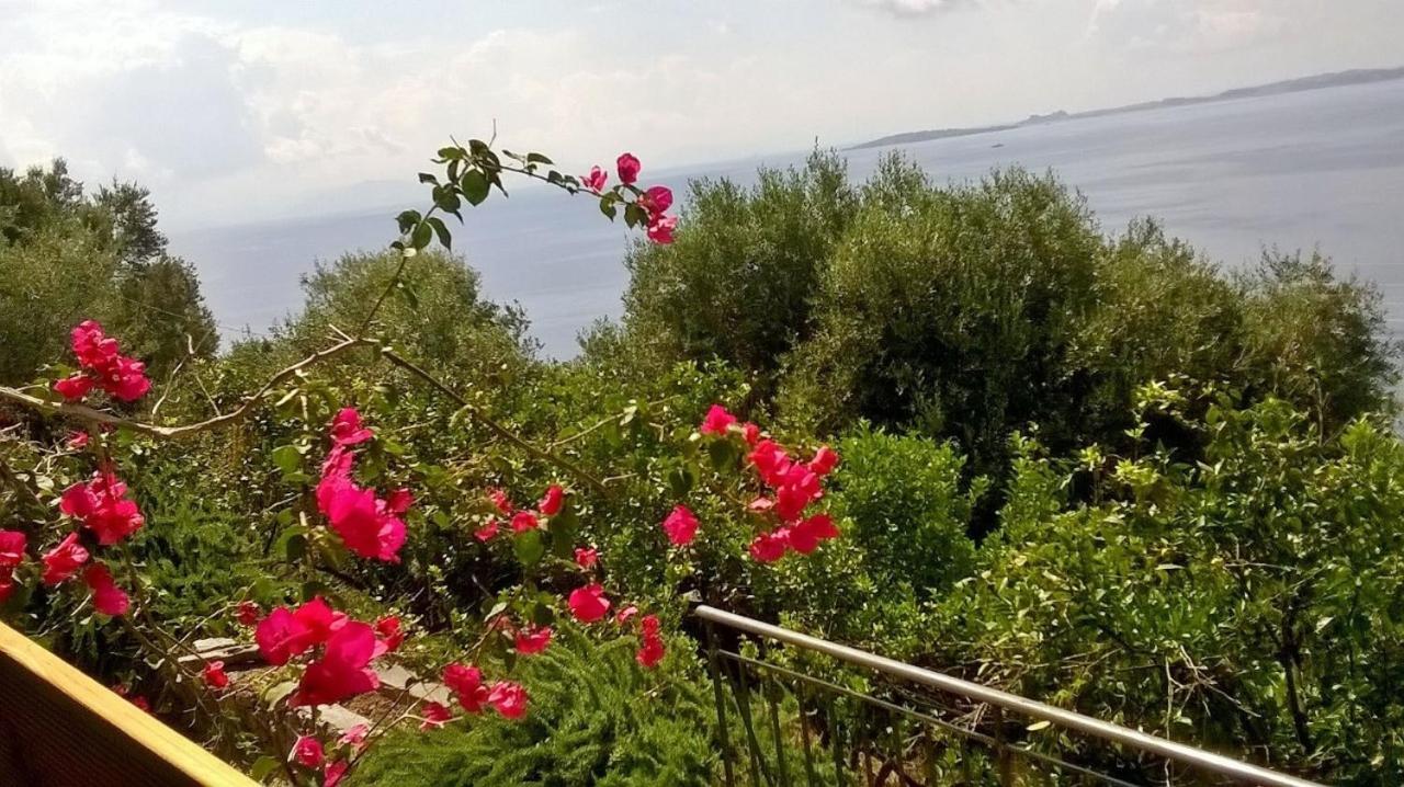 Appartement Sterna